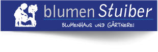 Blumen Stuiber